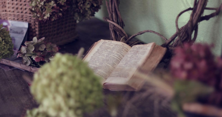 Día Mundial de la Poesía: el lenguaje universal que hoy celebramos