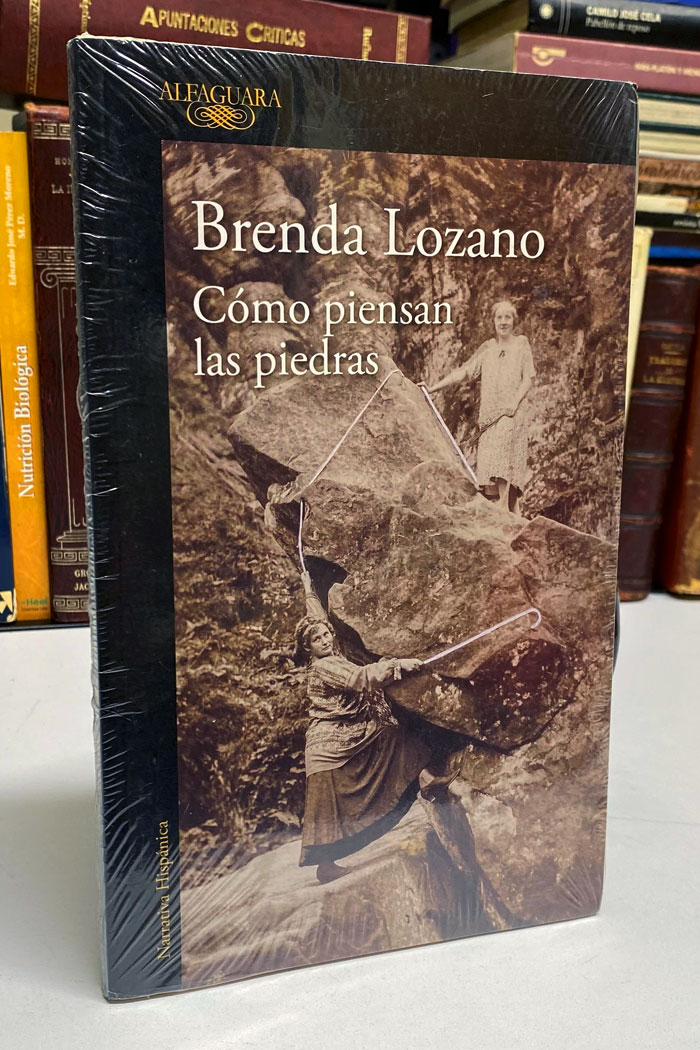 Cómo piensan las piedras Libro de Brenda Lozano