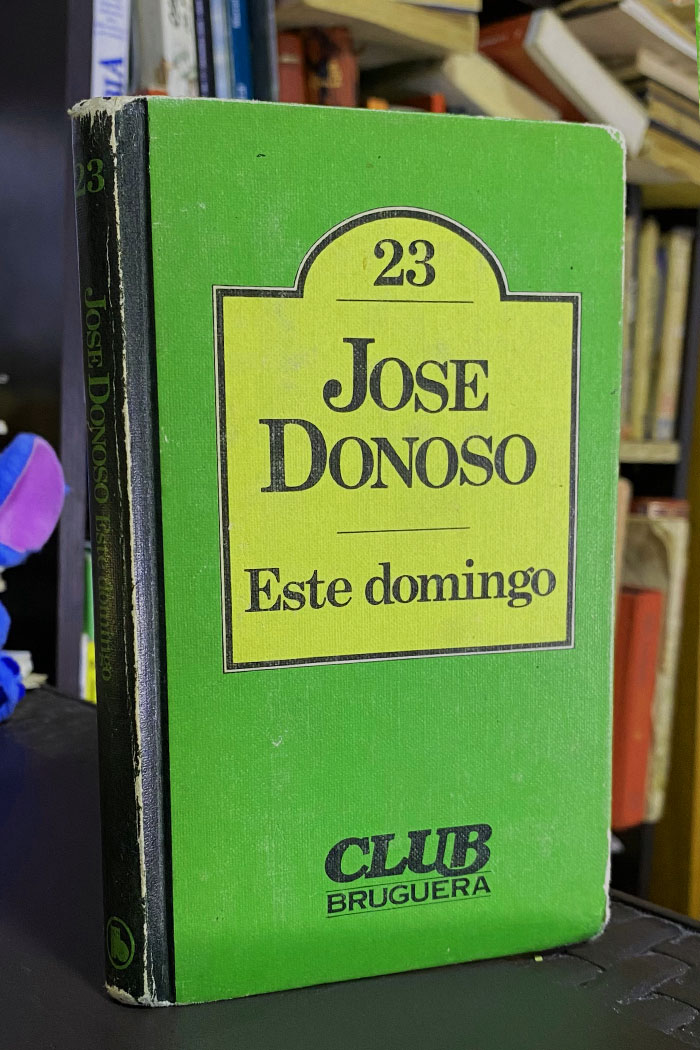 Este domingo Libro de José Donoso