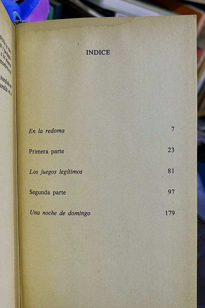 Este domingo Libro de José Donoso