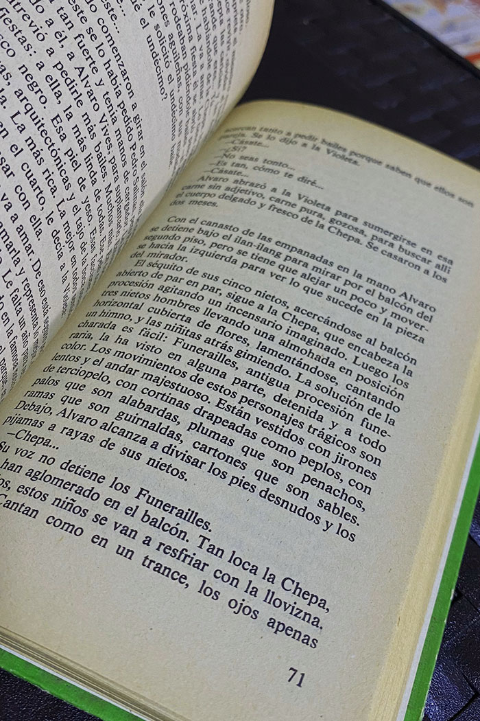 Este domingo Libro de José Donoso