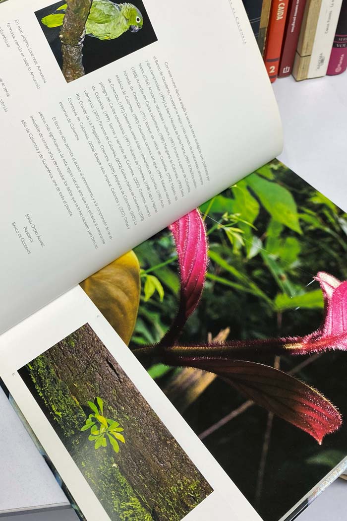La Amazonía de Colombia libro de Banco de Occidente