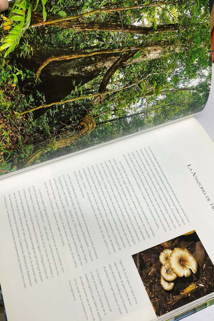 La Amazonía de Colombia libro de Banco de Occidente