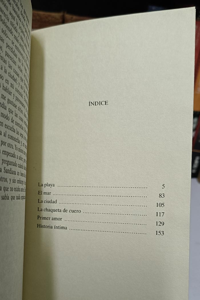 La playa Novela de Cesare Pavese