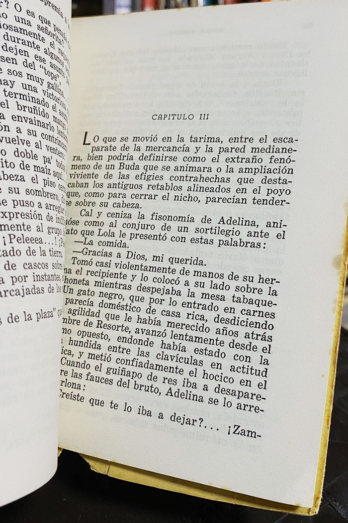 Las hijas de Gracia libro de Magda Moreno