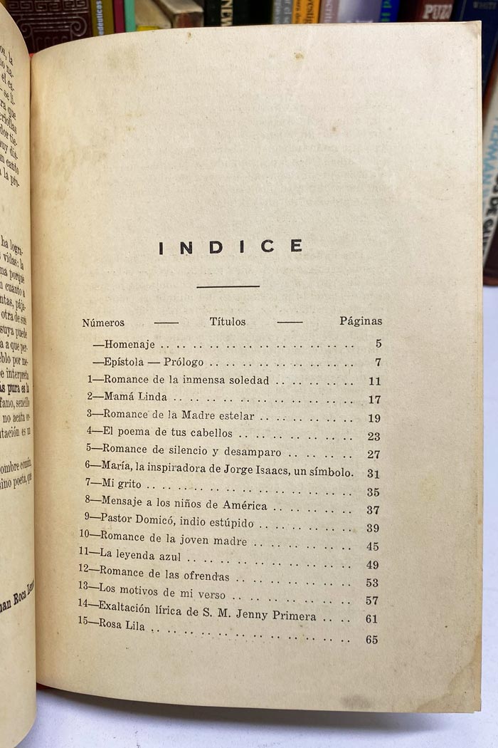 Luna sobre el monte. Libro de poesía de León Zafir.