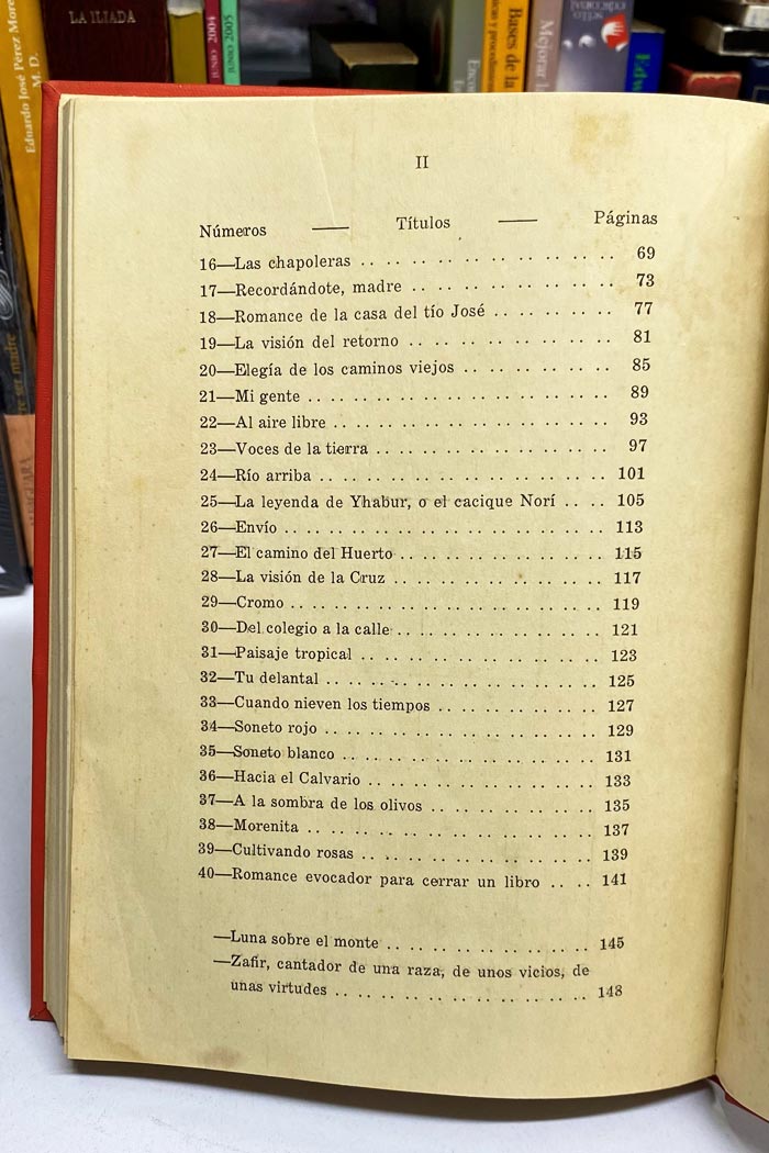 Luna sobre el monte. Libro de poesía de León Zafir.