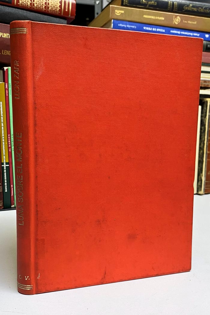 Luna sobre el monte. Libro de poesía de León Zafir.
