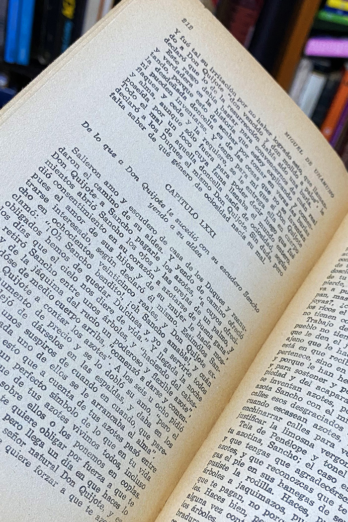 Vida de Don Quijote y Sancho Libro de Miguel de Unamuno