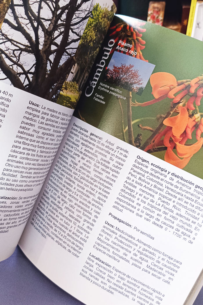 Manual de Silvicultura Urbana para Medellín